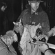 Fireman saves cat, 1973.